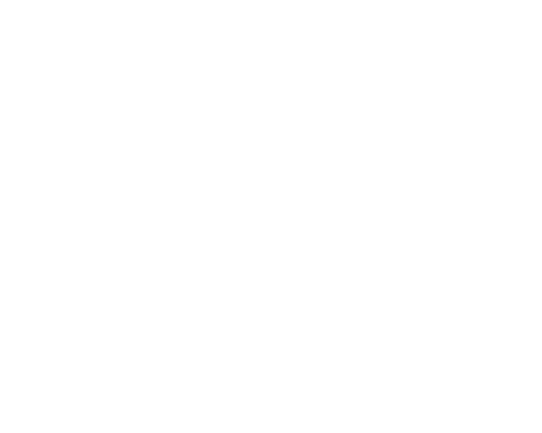 Palmas Academy